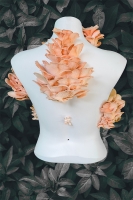 https://mail.rebeccajnorton.com/files/gimgs/th-76_pink lady 1_v2.jpg